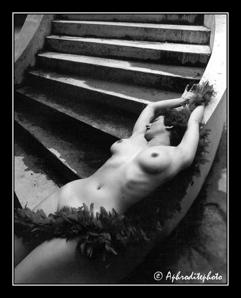 301 Un boa sur l'escalier
